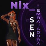 Nix_