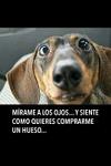 Magento