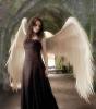 Angel_de_Amor