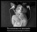 DaNy_DhEaRtH