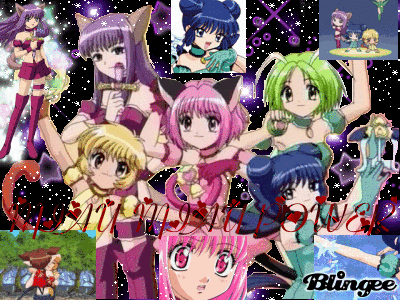 midnight_secr