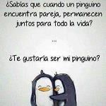 ___Sao___