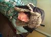 andres606