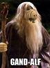 Gandalf