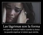 jose0013