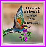 _LYLYS_