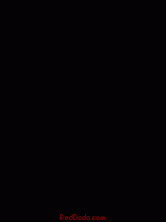 BONIZ