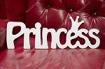 Princess_LyNx