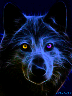 __Lobo__