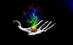 l__GOLTIER__l