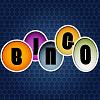 LSBingo_inakt