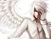 fenix_iki