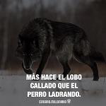 george_LOBO
