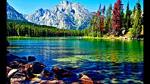 tedeseo63