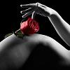 Passion_Sauva
