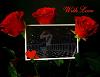 WOLF_BLACK_LM
