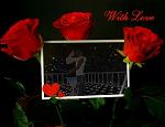 WOLF_BLACK_LM