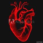 CONDE_SANGRE_PNG