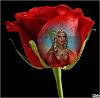 _JESSICA_LEDY