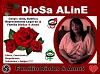 DioSa_ALINE_D