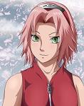 Sakura96