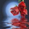 x_Dj_Rosy_x