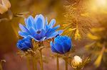 Mary_3