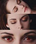 bela_swan