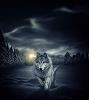 Juan_LOBO