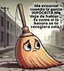 _DOMINI_