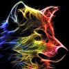 DANU__LOBO
