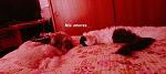 LiRioS_AnGeLs_
