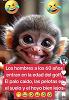 Bombom_20